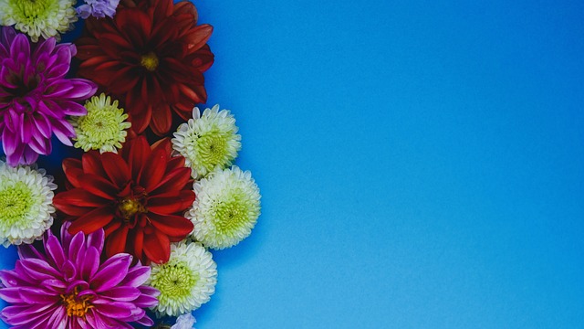 产生了质疑 产生了质疑