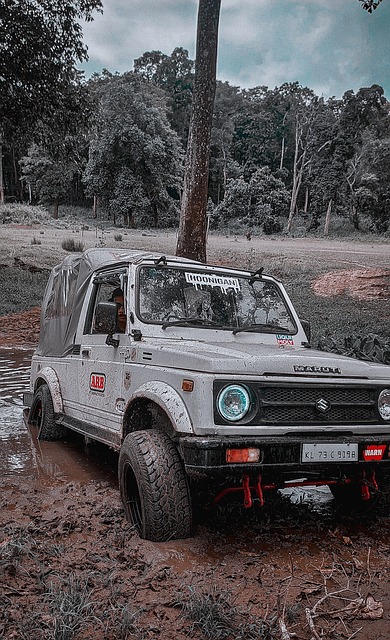 销售额更是 销售额更是