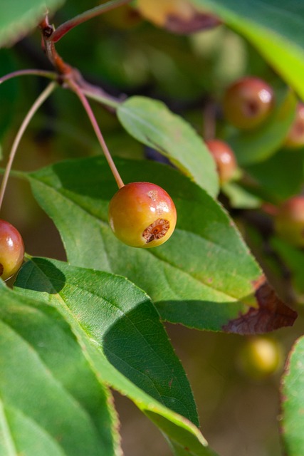 在攻击线上 在攻击线上