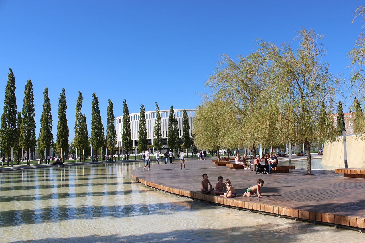 坎坷起步 坎坷起步