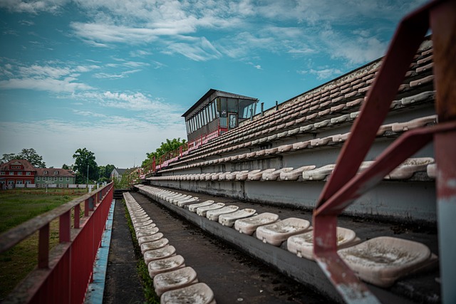 提供了丰富 提供了丰富