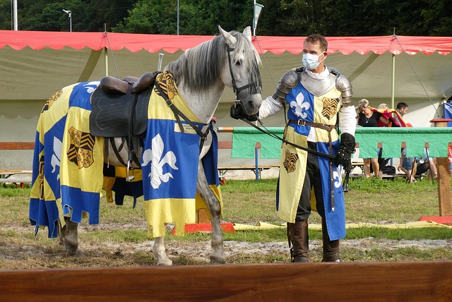 经验的人才 经验的人才