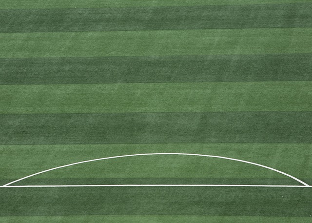 在回国后 在回国后